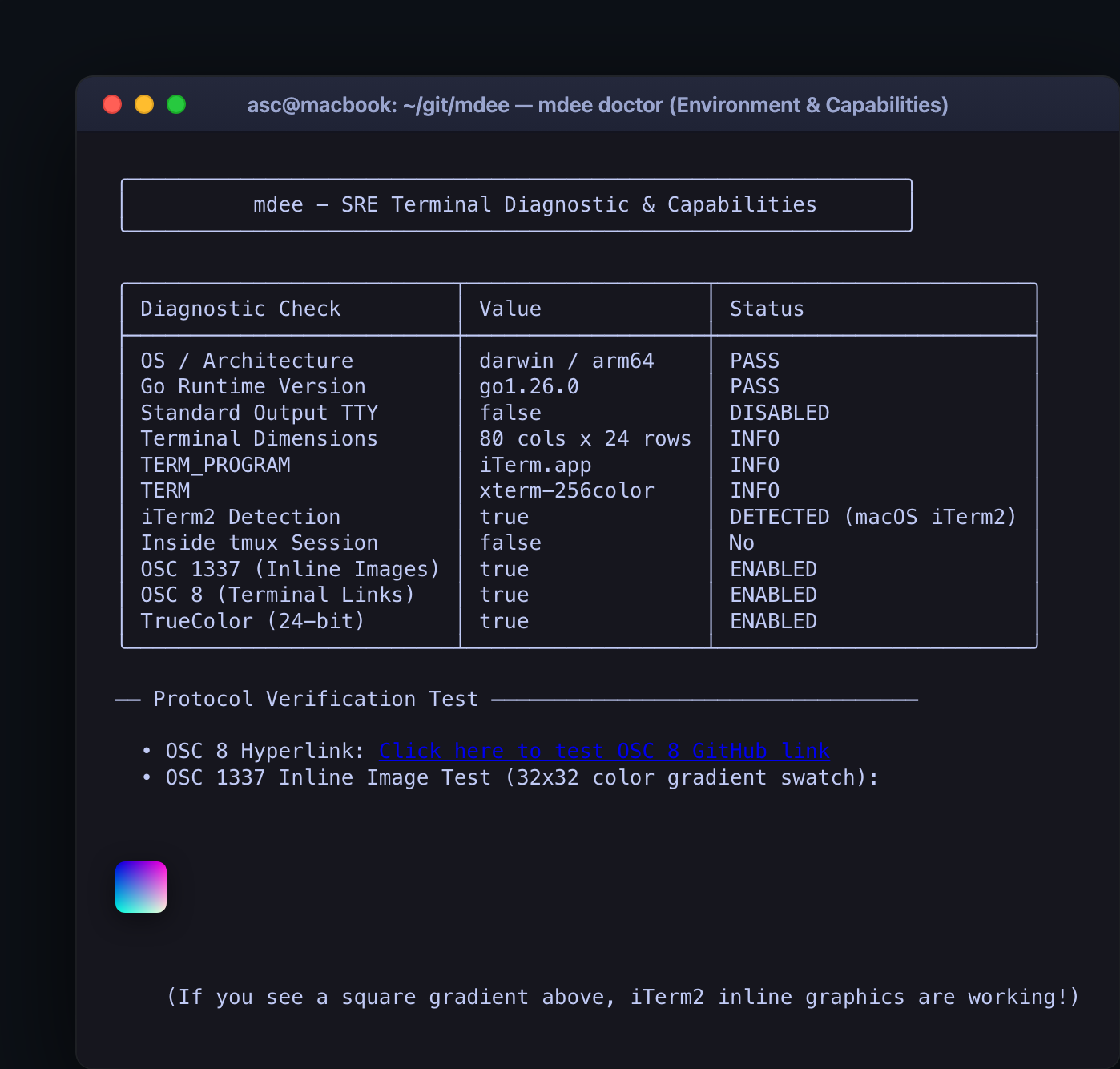 mdee doctor diagnostic suite inspecting terminal protocols and capabilities